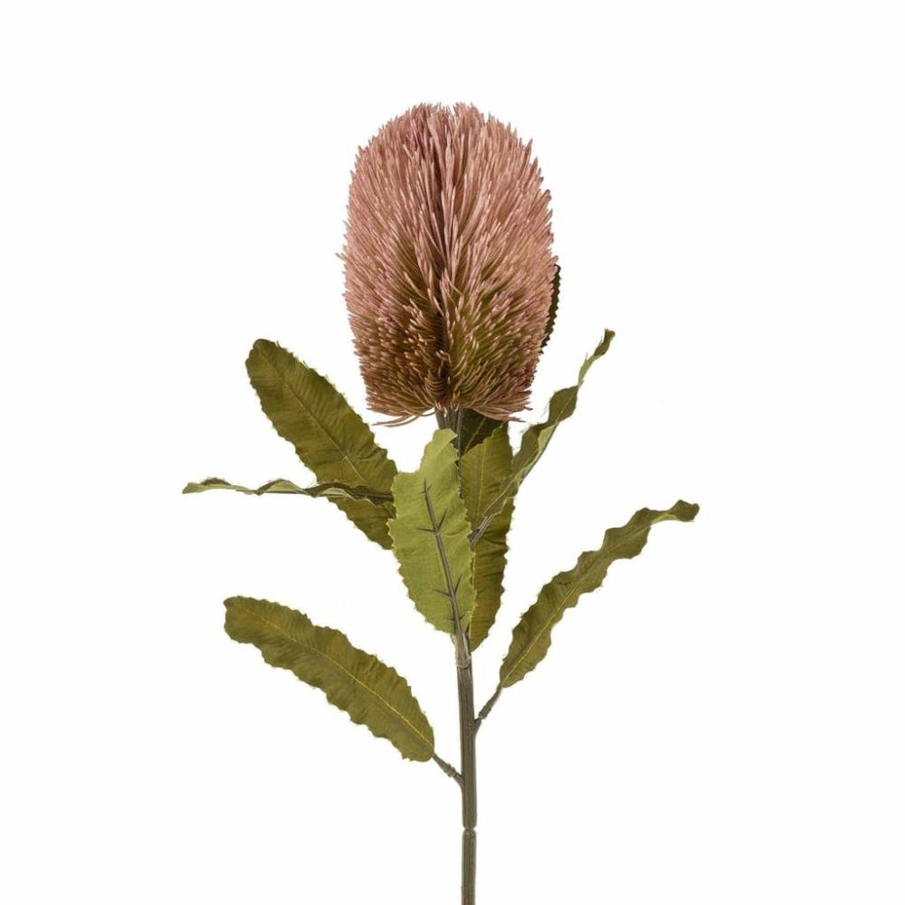 Banksia Stem Blush Decor