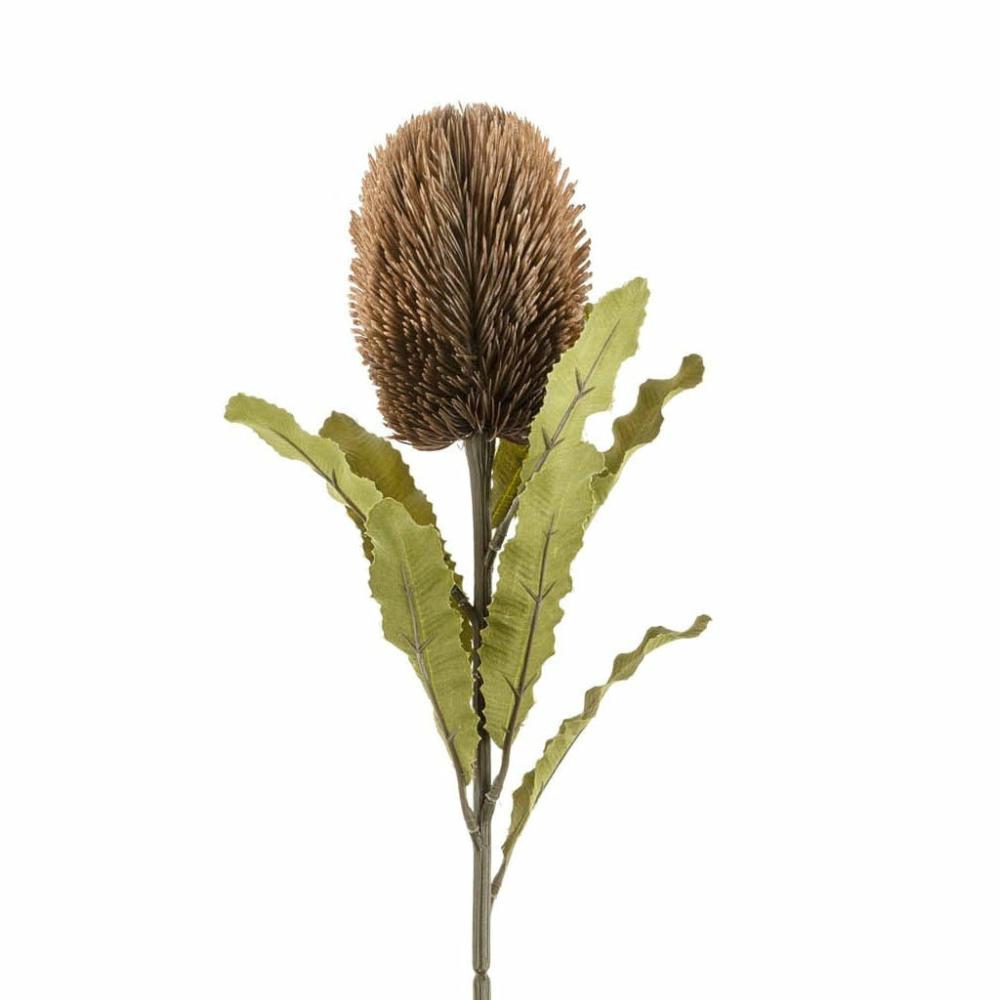 Banksia Stem Chocolate Decor