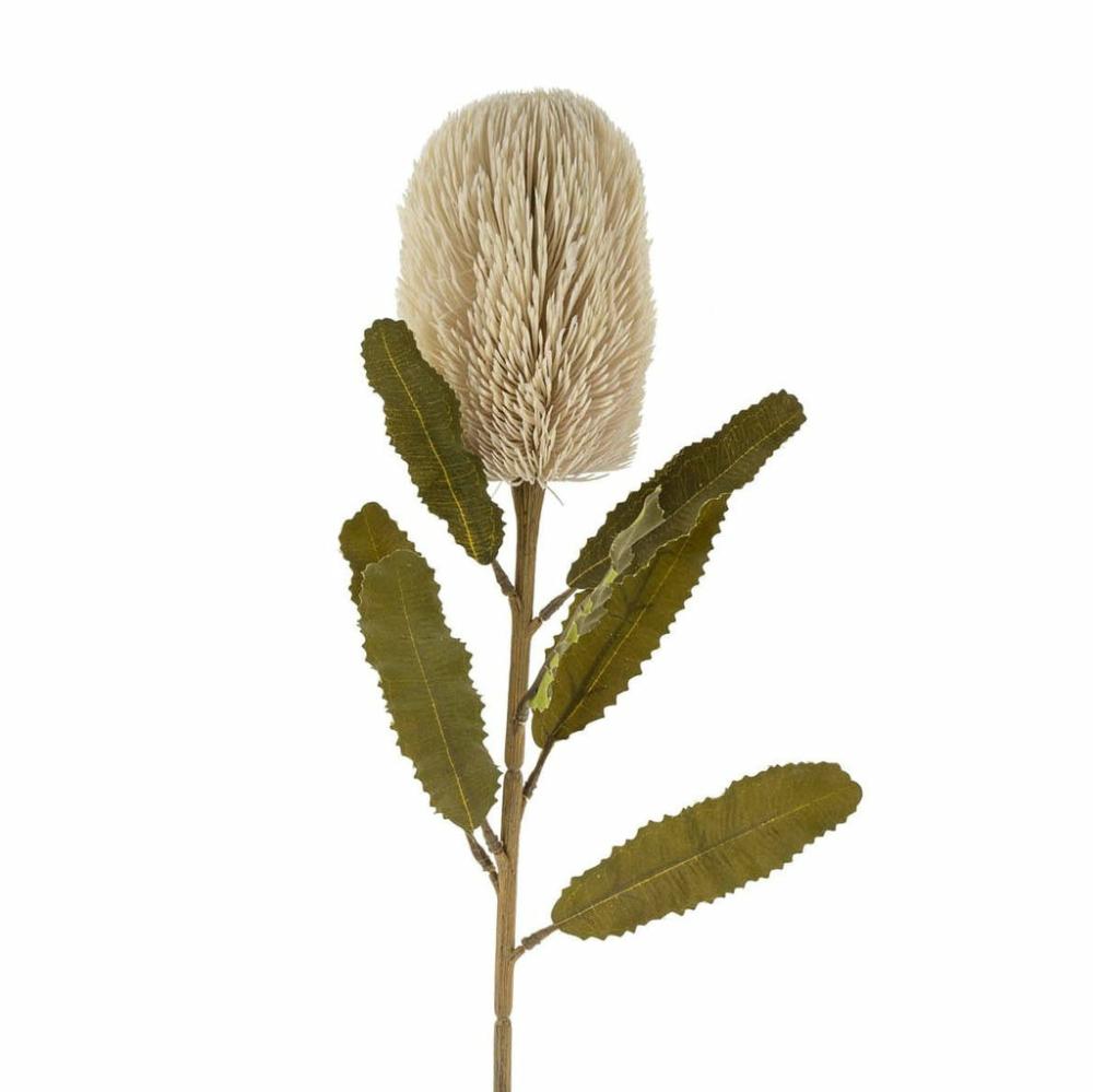 Banksia Stem Cream Decor