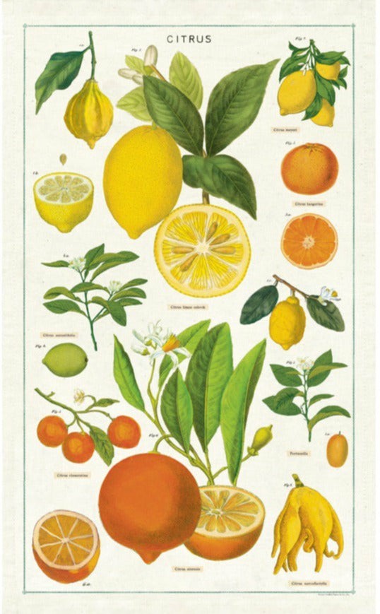 Citrus Tea Towel Kitchen