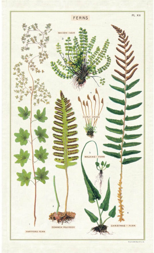 Ferns Tea Towel Kitchen