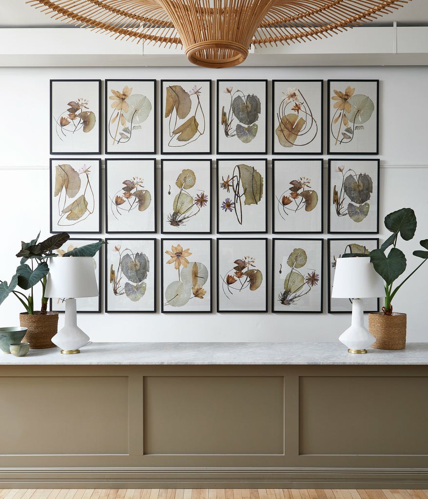 Framed Herbarium Pressings Eight Styles Available Framed Prints