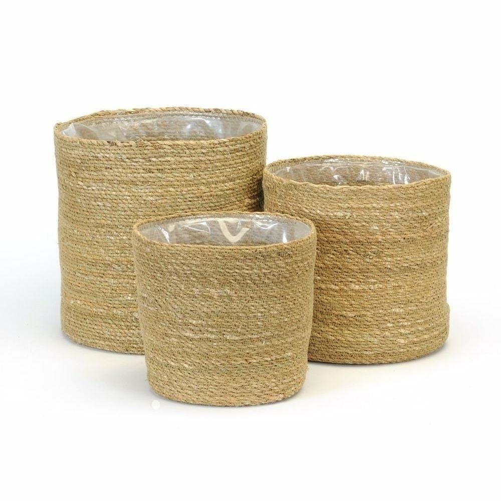 Seagrass Plant Baskets Three Sizes Available Baskets